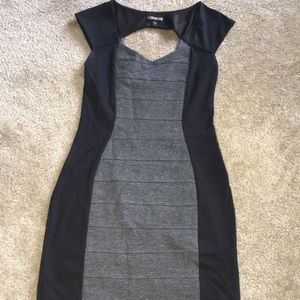 Express Paneled Dress